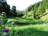 Das Trockental im Sommer